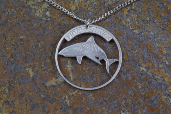 Tiger Shark mit Kette